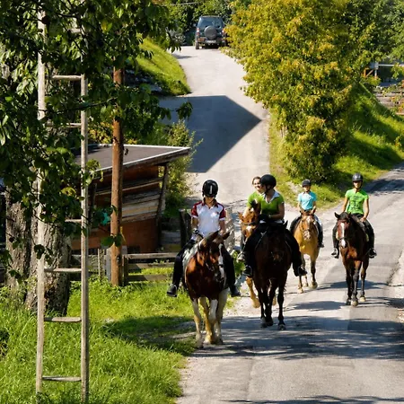 Alpenapartments - Wascherwirt - 3*