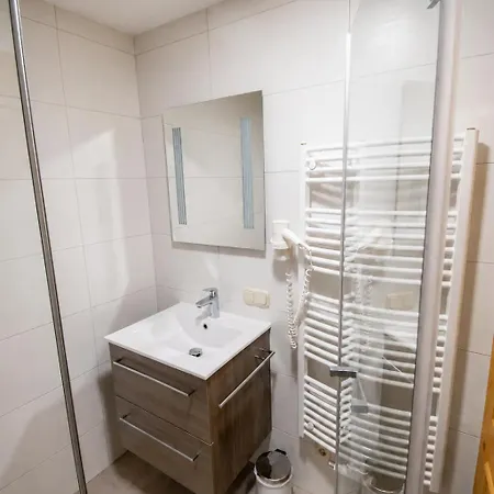 Hotel apartamentowy Alpenapartments - Wascherwirt - Embach